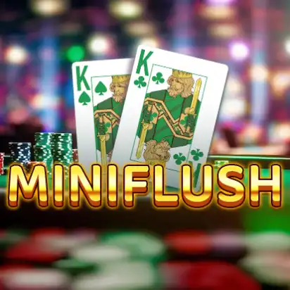 Miniflush